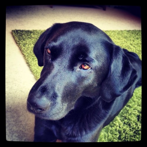 helenbeazer's profile picture. 