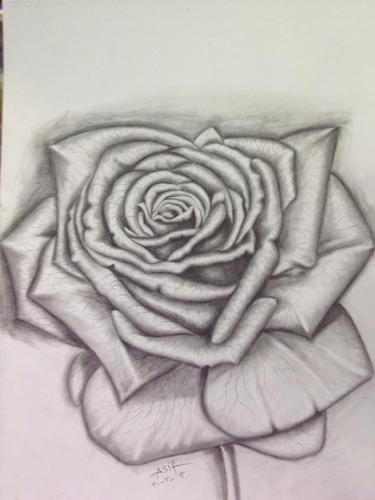 AsifRehmanss's profile picture. 