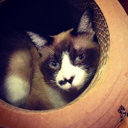 jellyfish201's profile picture. 超マイペース人間です。Apple製品大好き、007シリーズ大好き人間です。ほそぼそと生きてます。