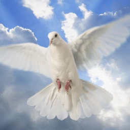 bitchrist's profile picture. “Max is the high priest of #Bitcoin” - @saylor