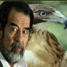 sokraia1's profile picture. 