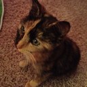 Leah Meier - @LeahAnnMeier - Twitter