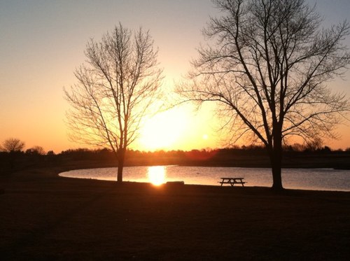 1,000 acres of Illinois' best hunting ground for upland and waterfowl. Home of the #gundogsuccess program