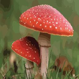 Luigi Chianeseさんのプロフィール画像