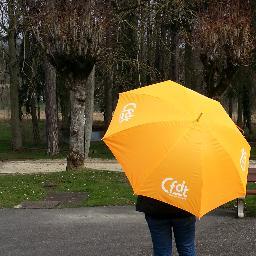 VP Ceser AuvergneRhoneAlpes
adhérente CFDT
une passion concernant le travail : les organisations apprenantes