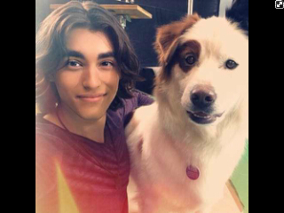 StanTheAmazing's profile picture. Hi. I'm Stan! I'm an ordinary dog, who can't live without bacon flavored spray, barking at mail men, and POODLES!