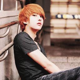 ฮีทครับฮีท รู้จักมั้ยครับฮีท วันเดอร์ๆคือที่อยู่อาศัย #นกฮูกน่ารัก คือร่างวันเดอร์