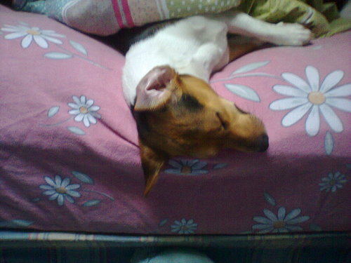 I love my dog!! And my friends!!