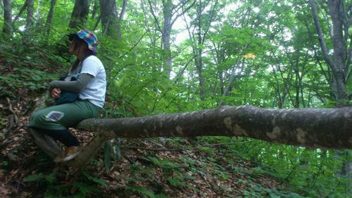お馬とこけしと日々のこと。 ２０１３年４月に黒石（青森県）から地元一関（岩手県）にＵターン。小さな山のてっぺんの、小さな牧場に暮らしています。出張馬車運行のご用命も承ります♪
