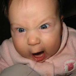 RenatoGManelli's profile picture. Cheguei!