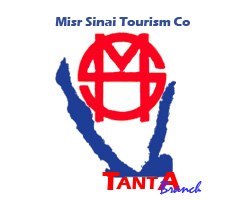 MadyMahmed's profile picture. 