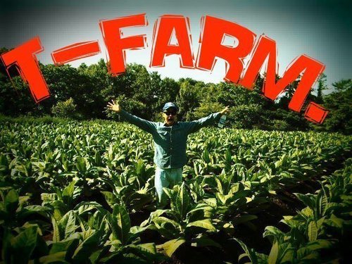 T-FARM. 元箱根ﾗﾝﾅｰ!!!百姓を目指す!!!