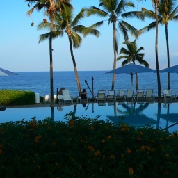 janetflynn's profile picture. forty-something professional single brunette living in the City