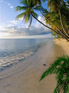 digitalline2012's profile picture. Todo lo que tiene un comienzo tiene un fina.