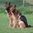 telo_s's profile image