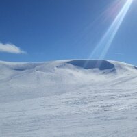 Chris Ditchfield (@chrisditchfield) 's Twitter Profile Photo