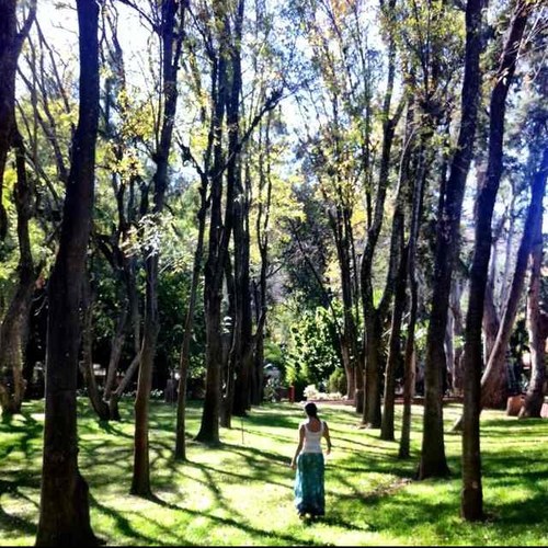 taniamaza25's profile picture. 