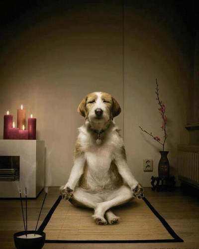 aroramohit's profile picture. Someone with character, life and warmth !!