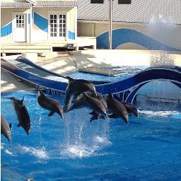 crespin01's profile picture. 