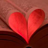 curtifrases's profile picture. 