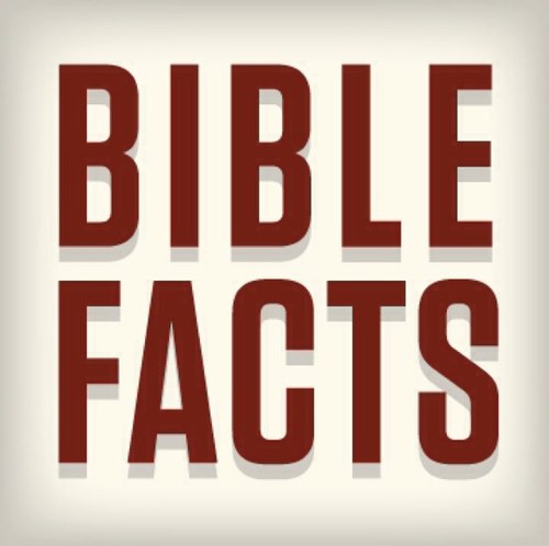 BibleFacts__'s profile picture. 