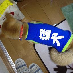アイコさんのプロフィール画像