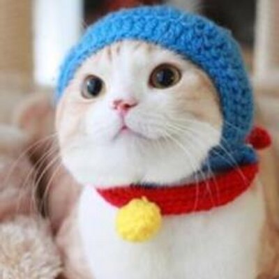 ねこ型萌えボット Nekogatamoe Bot Twitter ねこ型萌えボット Nekogatamoe Bot Twitter