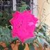 tanya bhagat (@tanya_bhagat) Twitter profile photo tanya bhagat (@tanya_bhagat) Twitter profile photo
