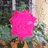 tanya_bhagat's profile image