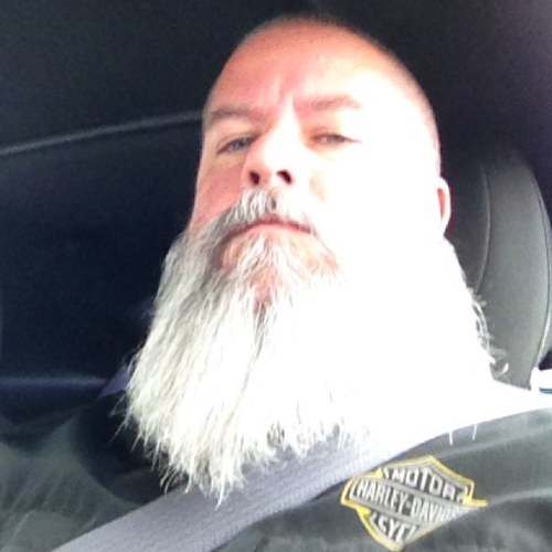 GJSTL1's profile picture. 