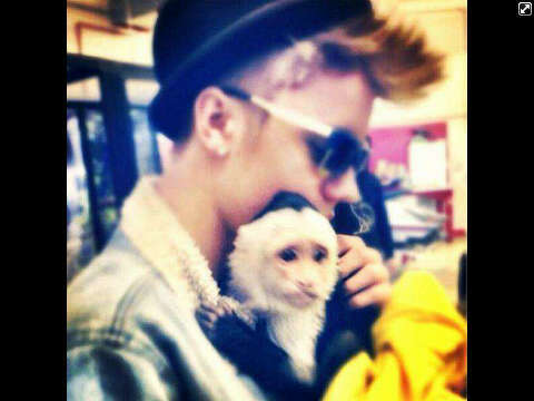 All you need to know about me is that I love justin bieber more than I love my phone.-