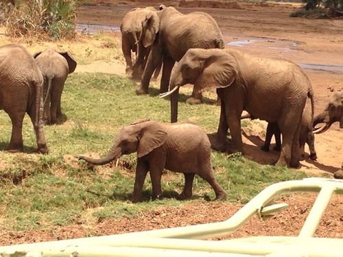 Angking27's profile picture. Among the things you can give and still keep are your word, a smile and a grateful heart.