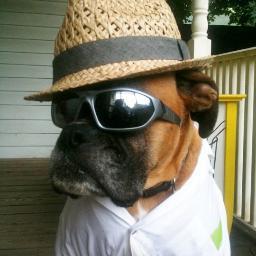 peggyferry's profile picture. Just hangin' out