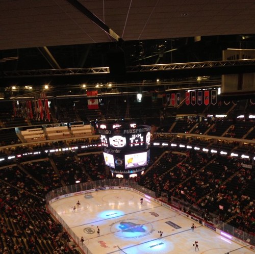 sjfugs's profile picture. 