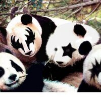 Drake（ドレイク） (@drake_tksm) Twitter profile photo