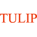 TulipTelecomLtd's profile picture. (BSE: 532691/NSE: TULIP) India's leading Enterprise Communications Service and Data Center Service provider.