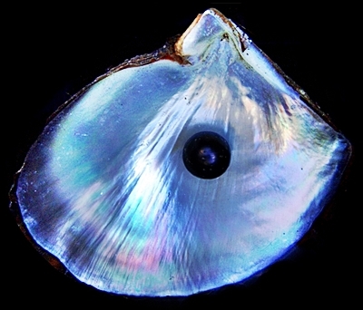 An on-line and in print journal showing the most unique artists today poetry, prose, paint, digital, music and mixed.