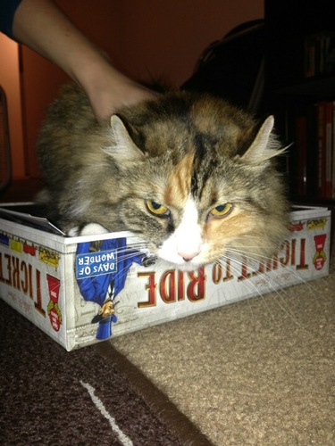 Foodmonger88's profile picture. 