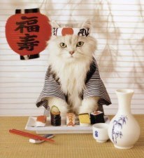 HypergodPhoenix's profile picture. Gatto reincarnato per sbaglio in stupido umano. Che lo Sforzo sia con voi.