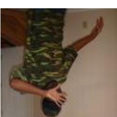 sprightlyTULIP's profile picture. 