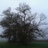 ReddeHeddeFarms's profile image