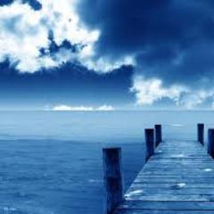 SusCasanovas's profile picture. 