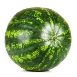 SharkHatDeluxe's profile picture. 