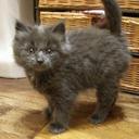 Dani Cross - @DaniBellaCross - Twitter