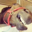 AbeJohn Ownz - @AbeJohnOwnz - Twitter