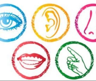 Ideas to support your child to learn about the world through play and sensory exploration!