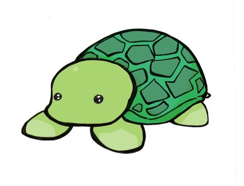 Just a turtle on a quest.
