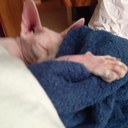 Brian Potvin - @hockeybro44 - Twitter