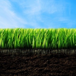 TerraformNYC's profile picture. Working to make NYC visibly green with gardens, green roofs, living walls, and urban forestry.