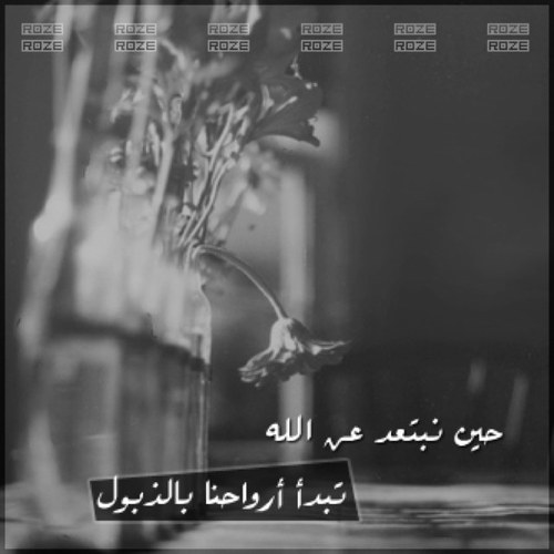 حساب لا يكتب جرح ولا نكت! ، فقط يتأنّق بِتغريدات تنفرد بنوعها ≡ لاإله إلا الله وحده لا شريك له، له الملك وله الحمد وهو على كل شيءٍ قدير..*